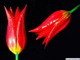 مشاوره تحصیلی